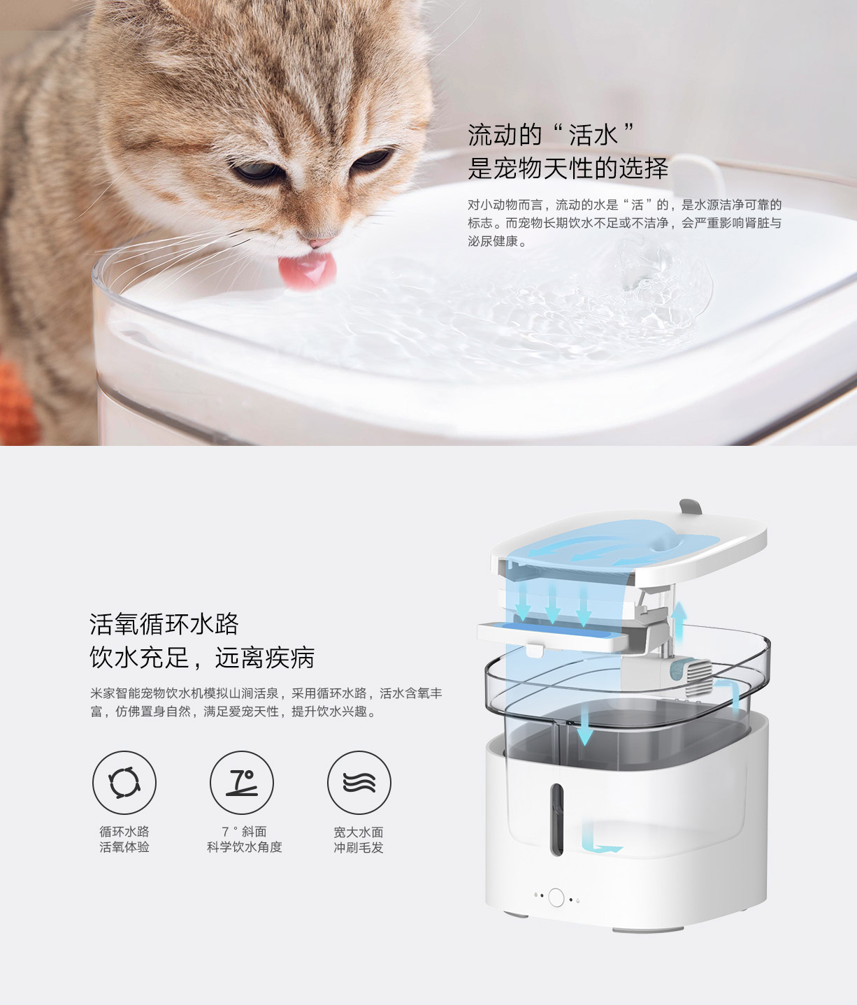 Xiaomi dispensador agua gatos y perros a la venta - Noticias Xiaomi
