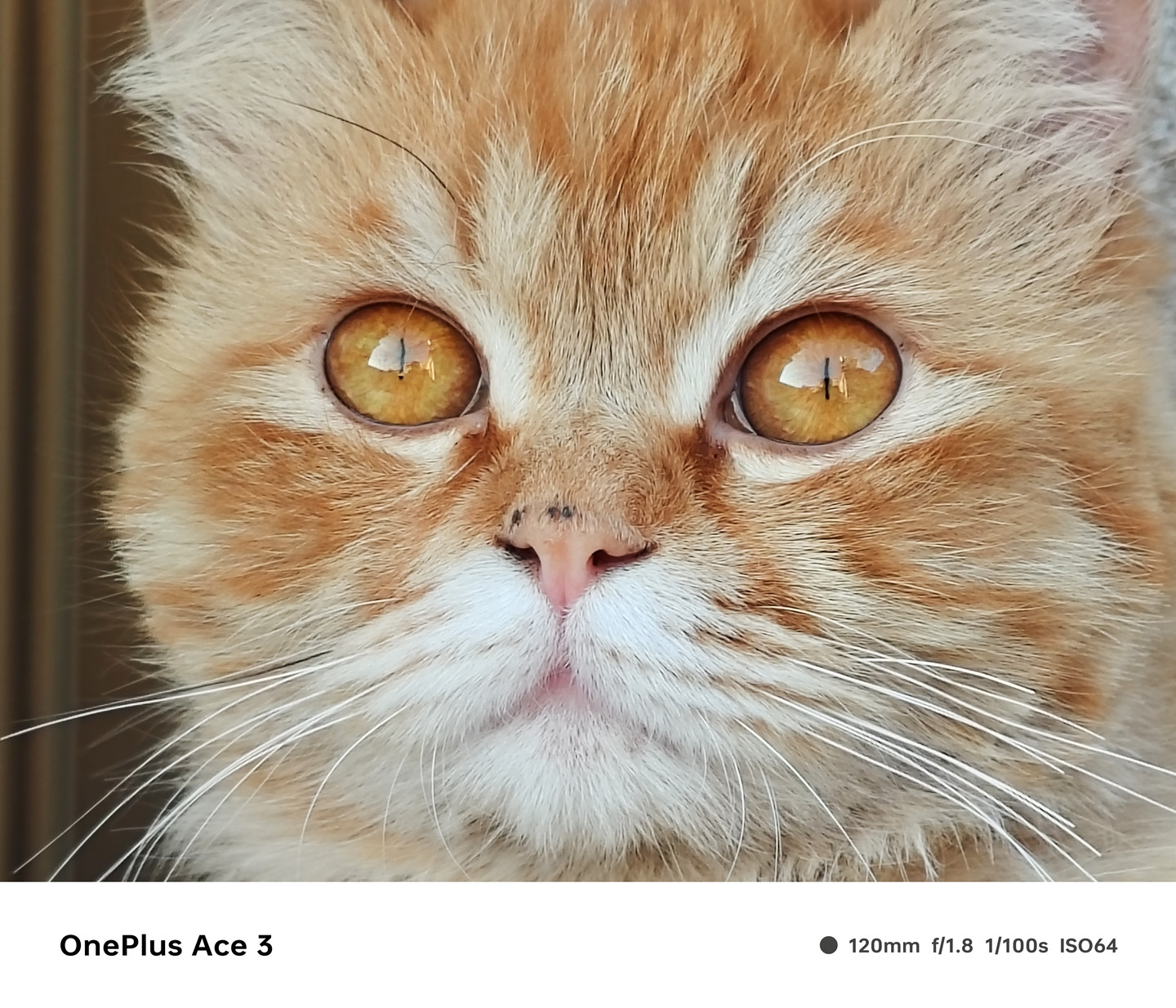 一加Ace3体验：手感与性能到位，这个功能有点越级