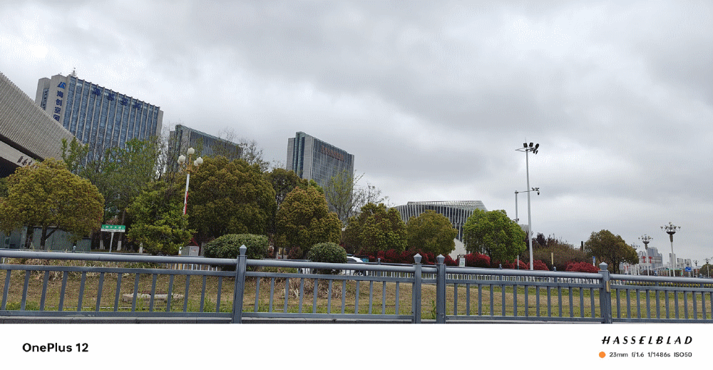 4000档拍照旗舰怎么选，一加12：我来拍你来看