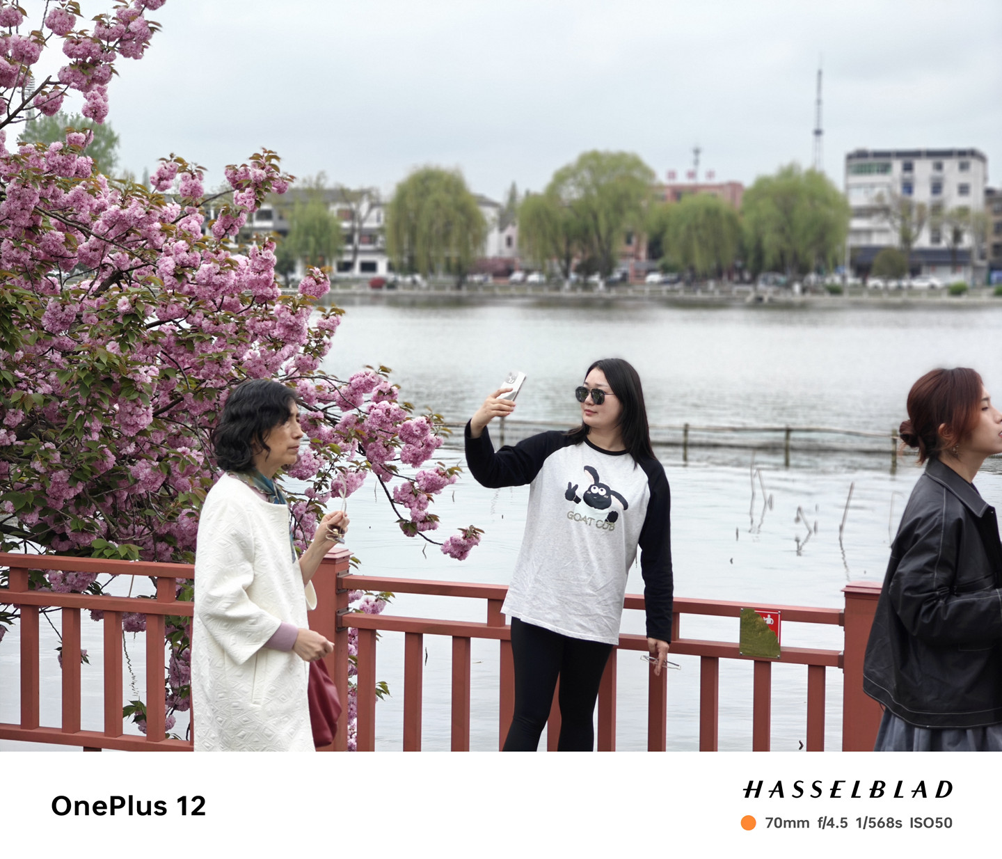 4000档拍照旗舰怎么选，一加12：我来拍你来看