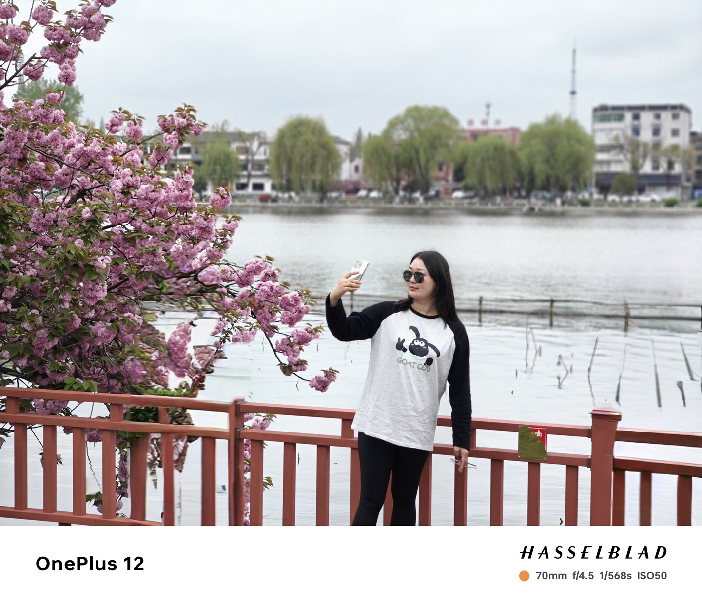 4000档拍照旗舰怎么选，一加12：我来拍你来看