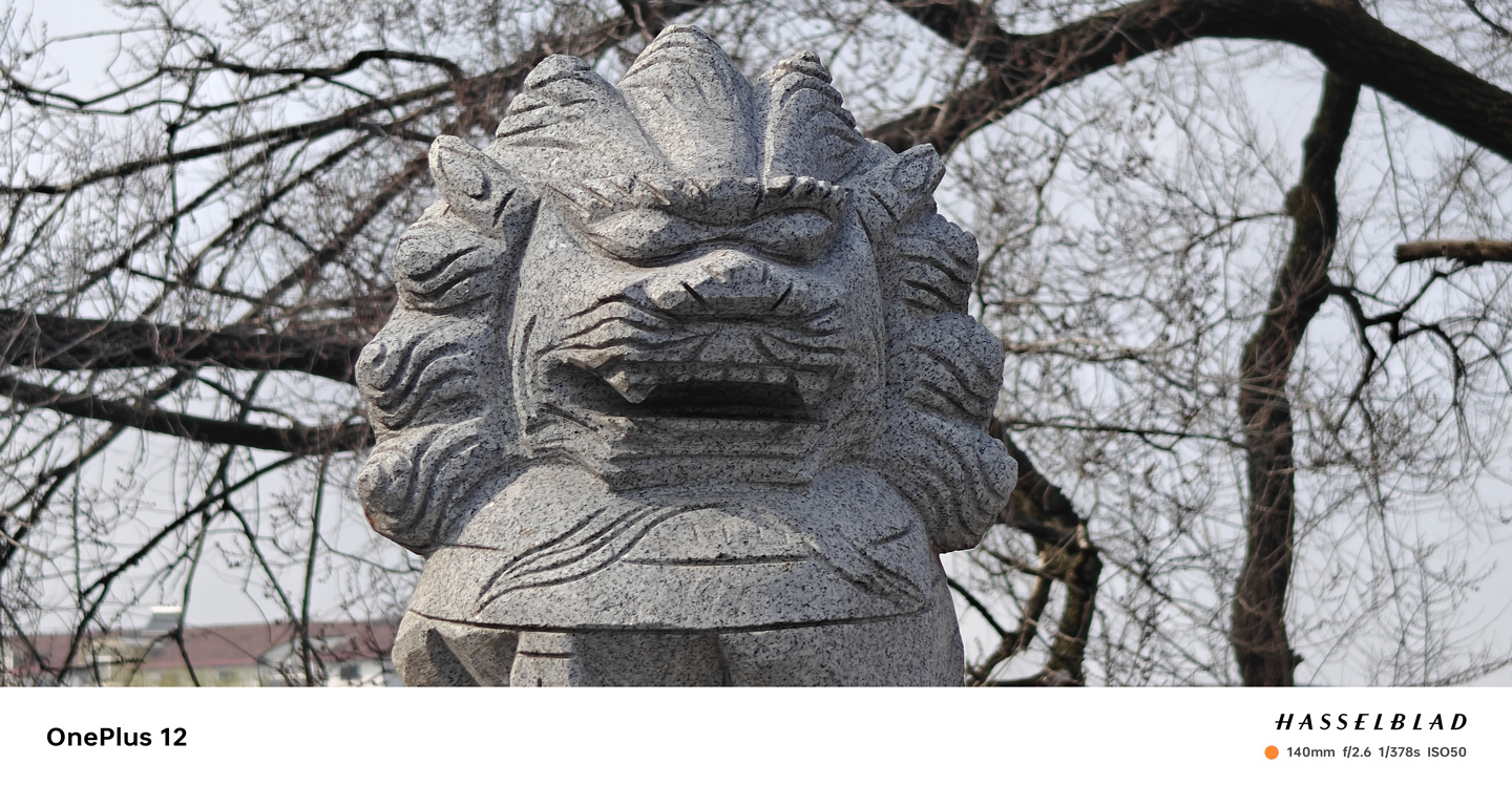 屏幕满分、相机出色，一加12诚不负我