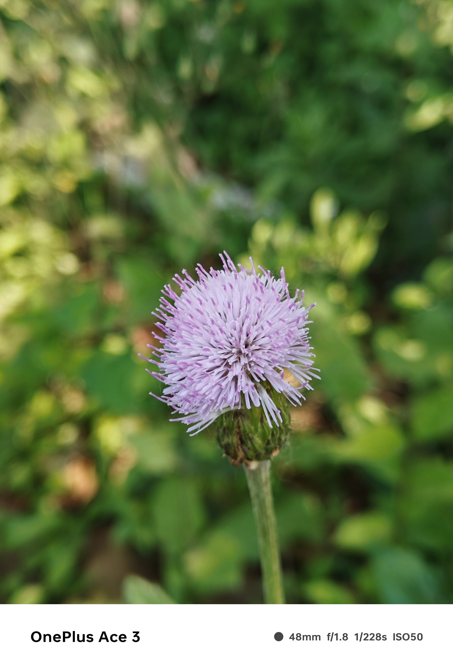 一加Ace3体验：手感与性能到位，这个功能有点越级