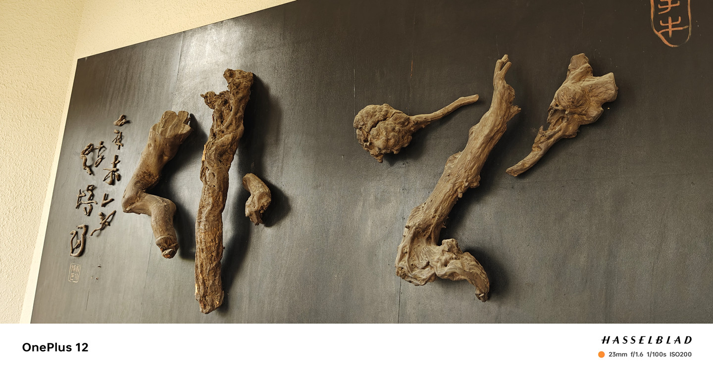 4000档拍照旗舰怎么选，一加12：我来拍你来看