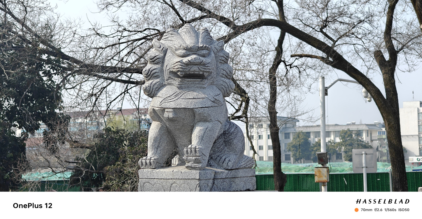 屏幕满分、相机出色，一加12诚不负我