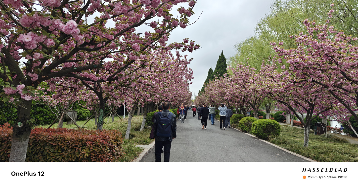 4000档拍照旗舰怎么选，一加12：我来拍你来看