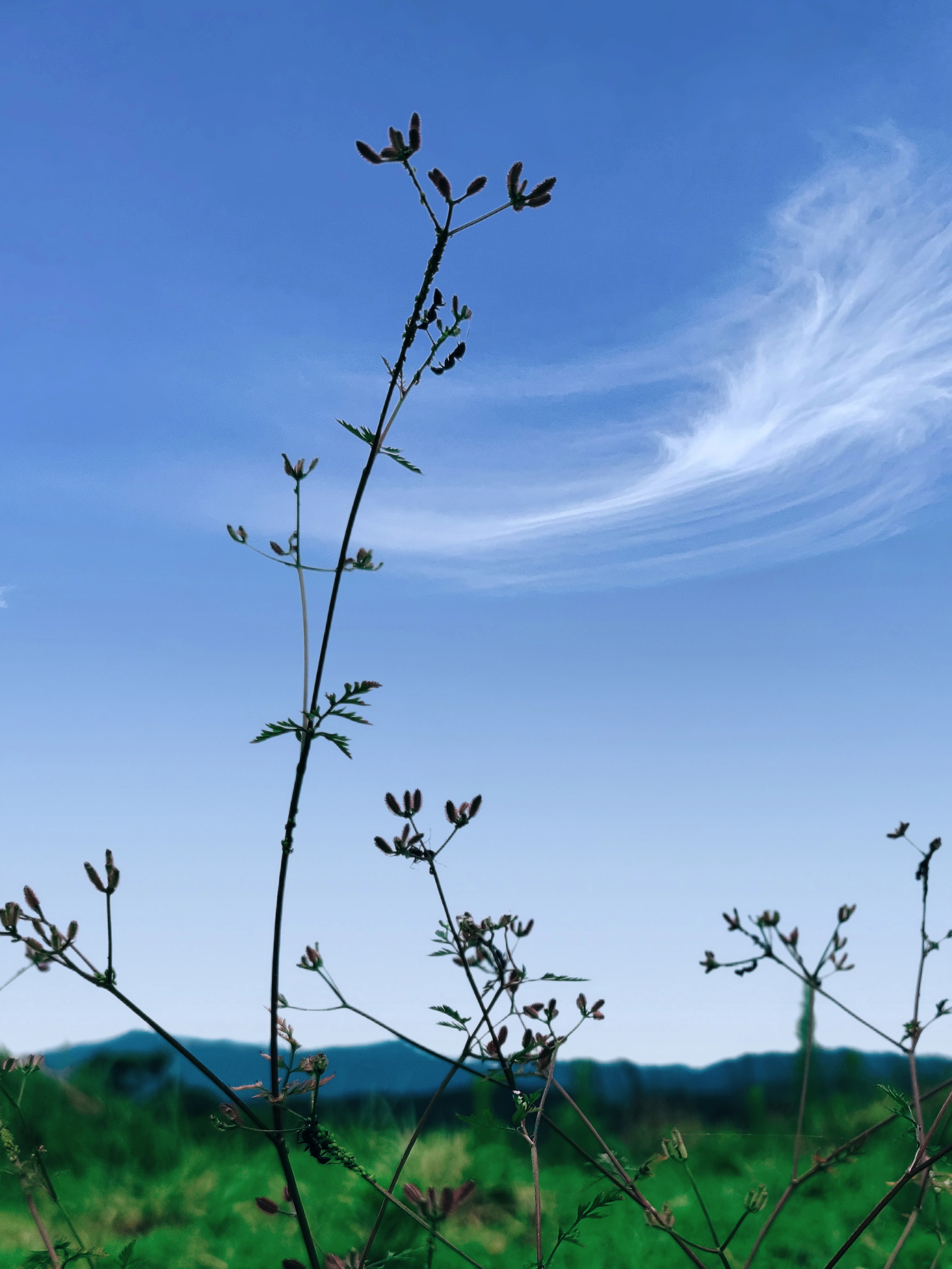 主题壁纸 - 小米社区