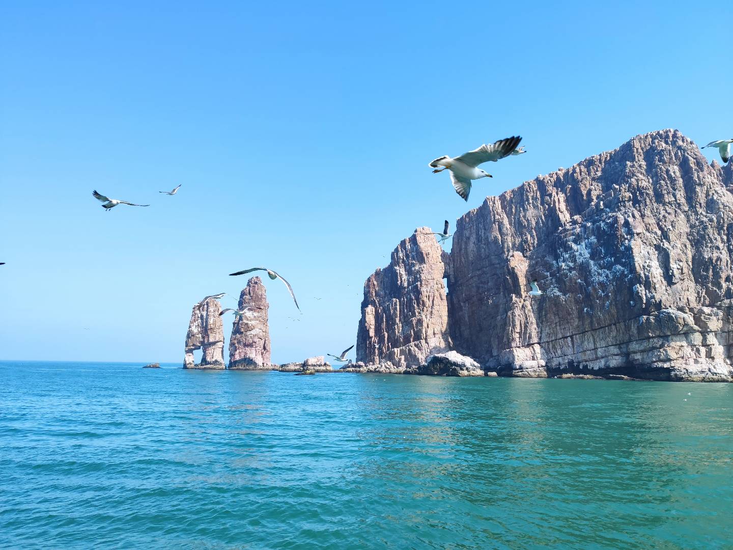 再来点99山东烟台长岛-万鸟岛shot on mi 9 - 小米社区