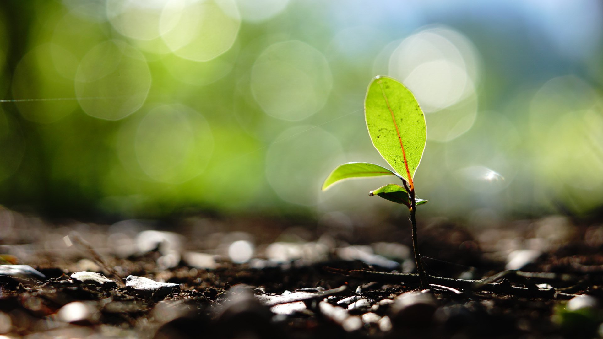 谁有红米10x4g的拍照来看看怎么样,速度,看图决定是否买两个 - 小米