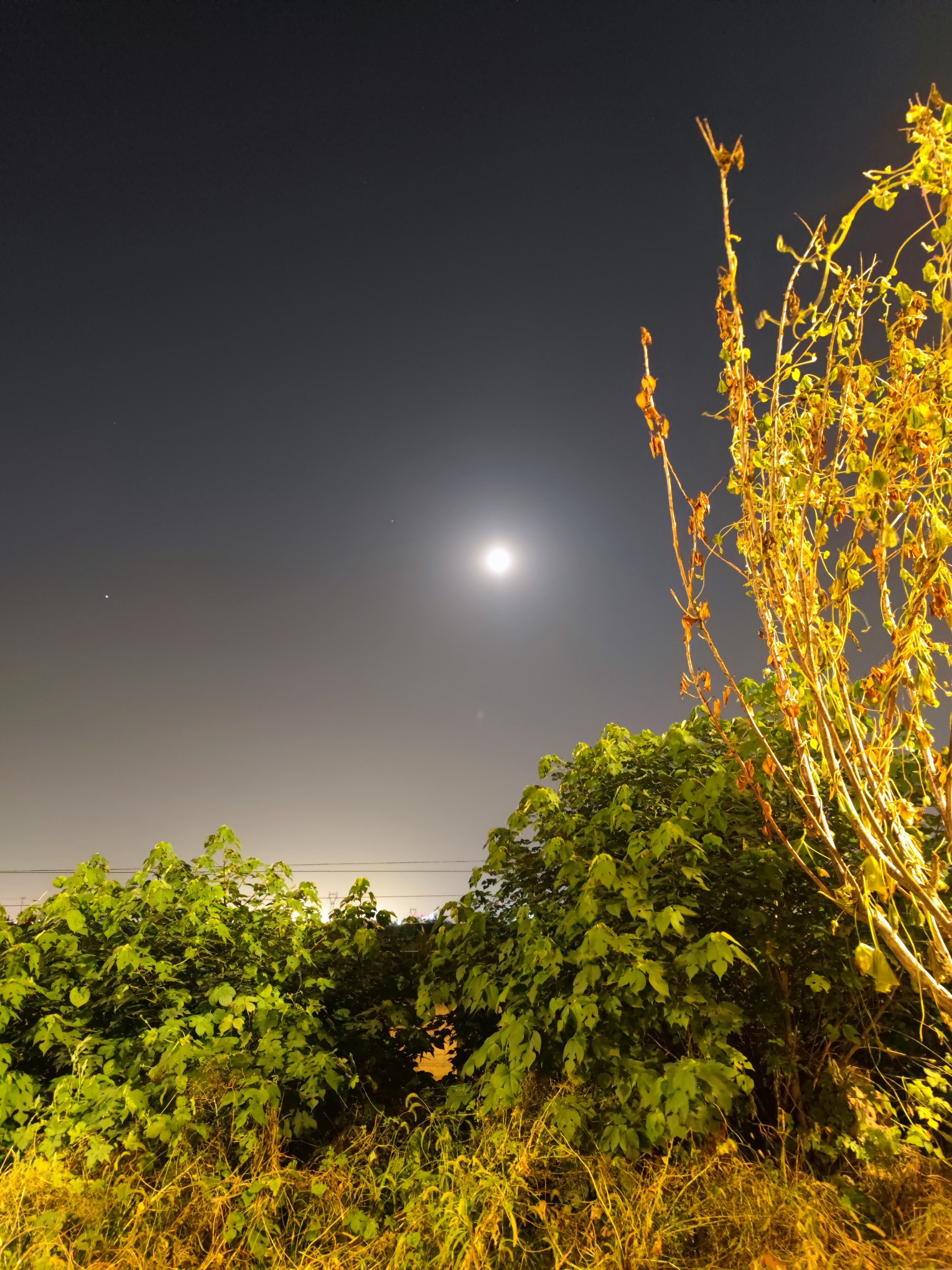 特别清楚的月亮93 - 小米社区