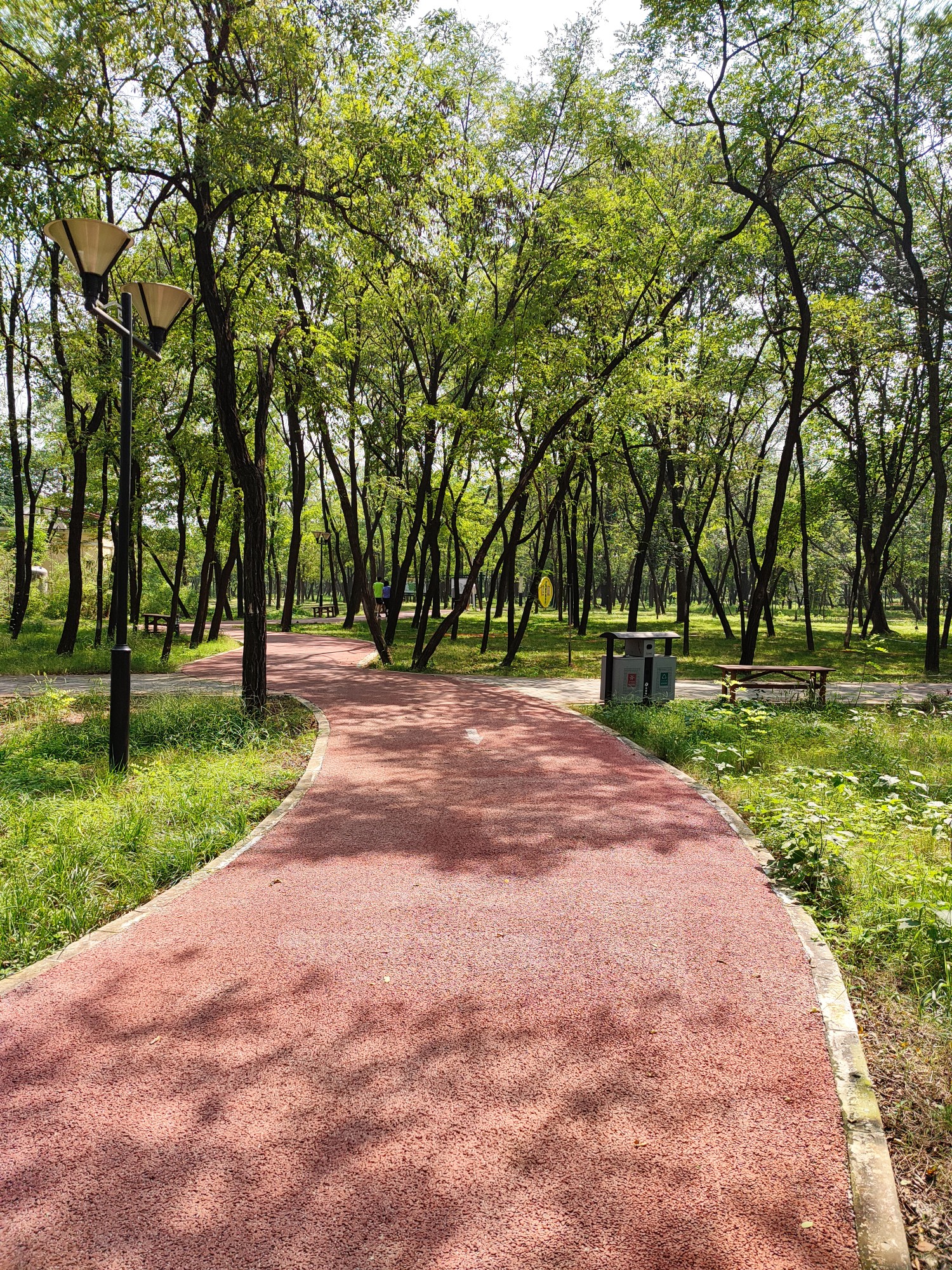 林荫小道 - 小米社区