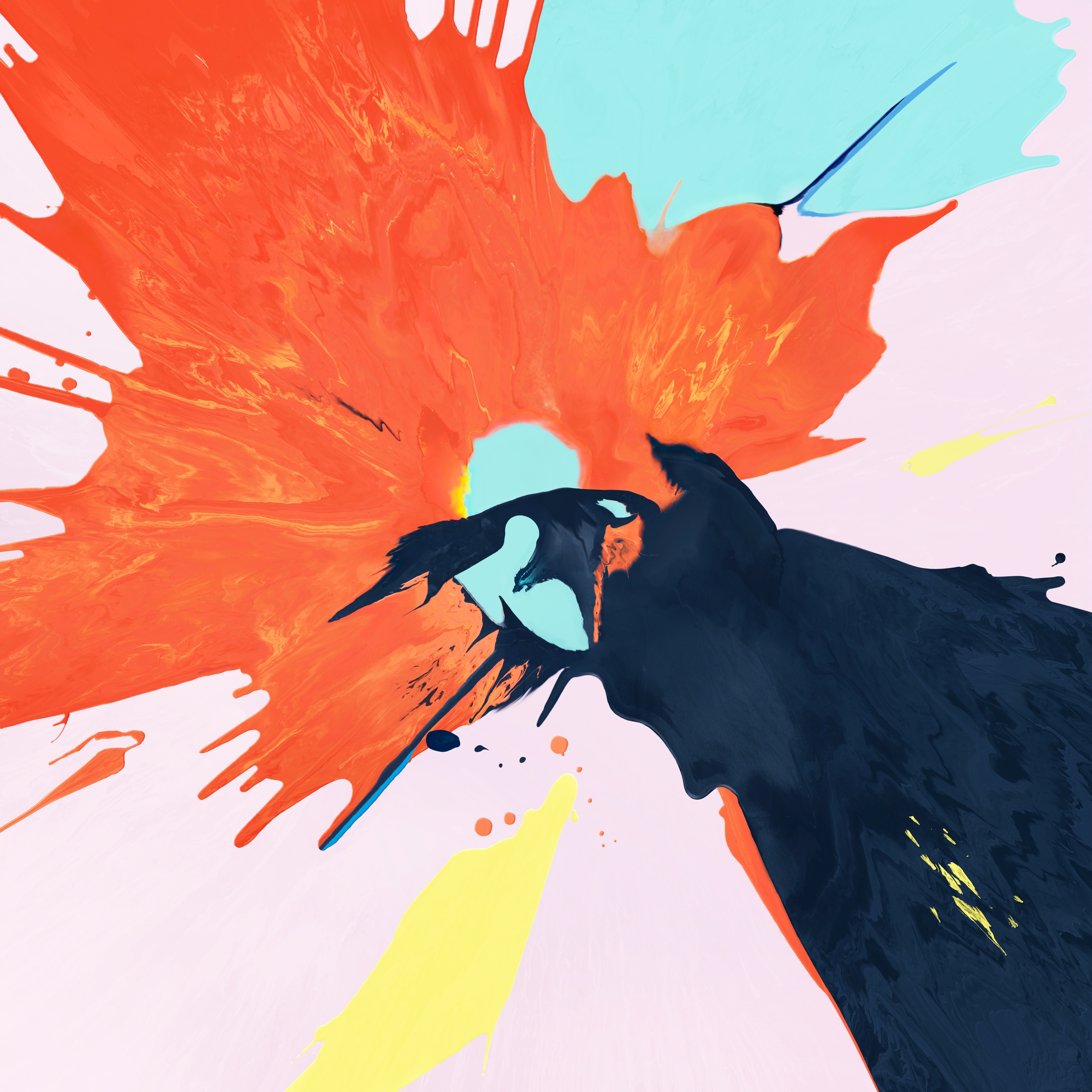 苹果最新ipadpro高清壁纸朋友们走起赶快下载