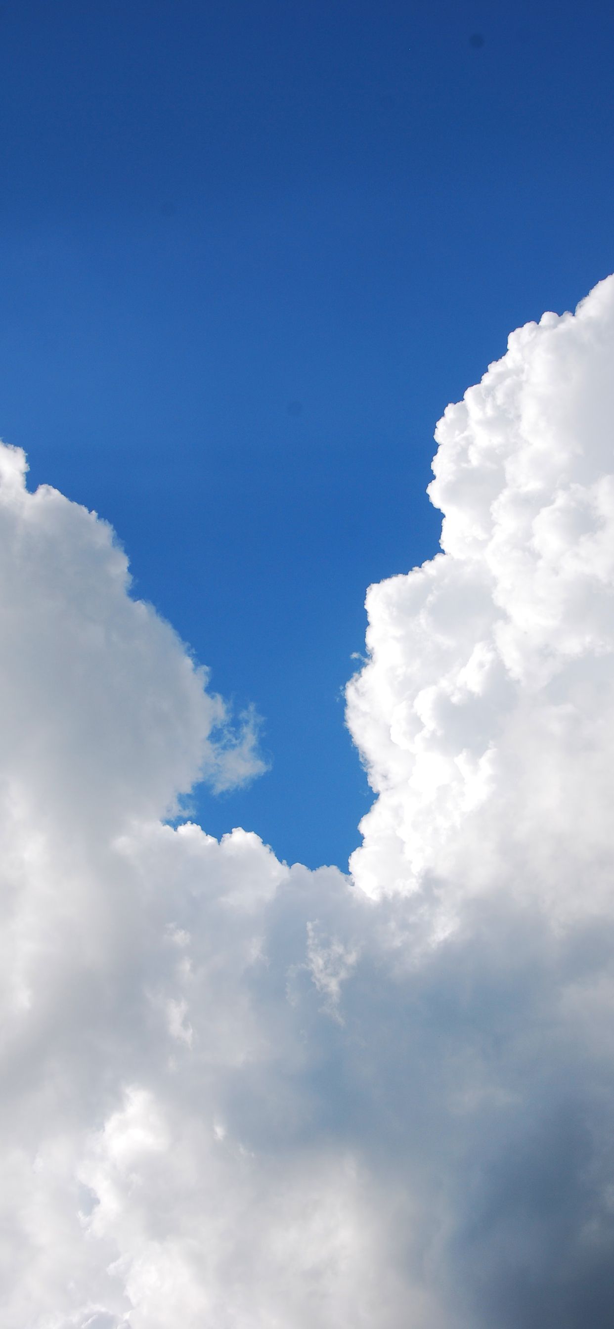 主题壁纸 - 小米社区