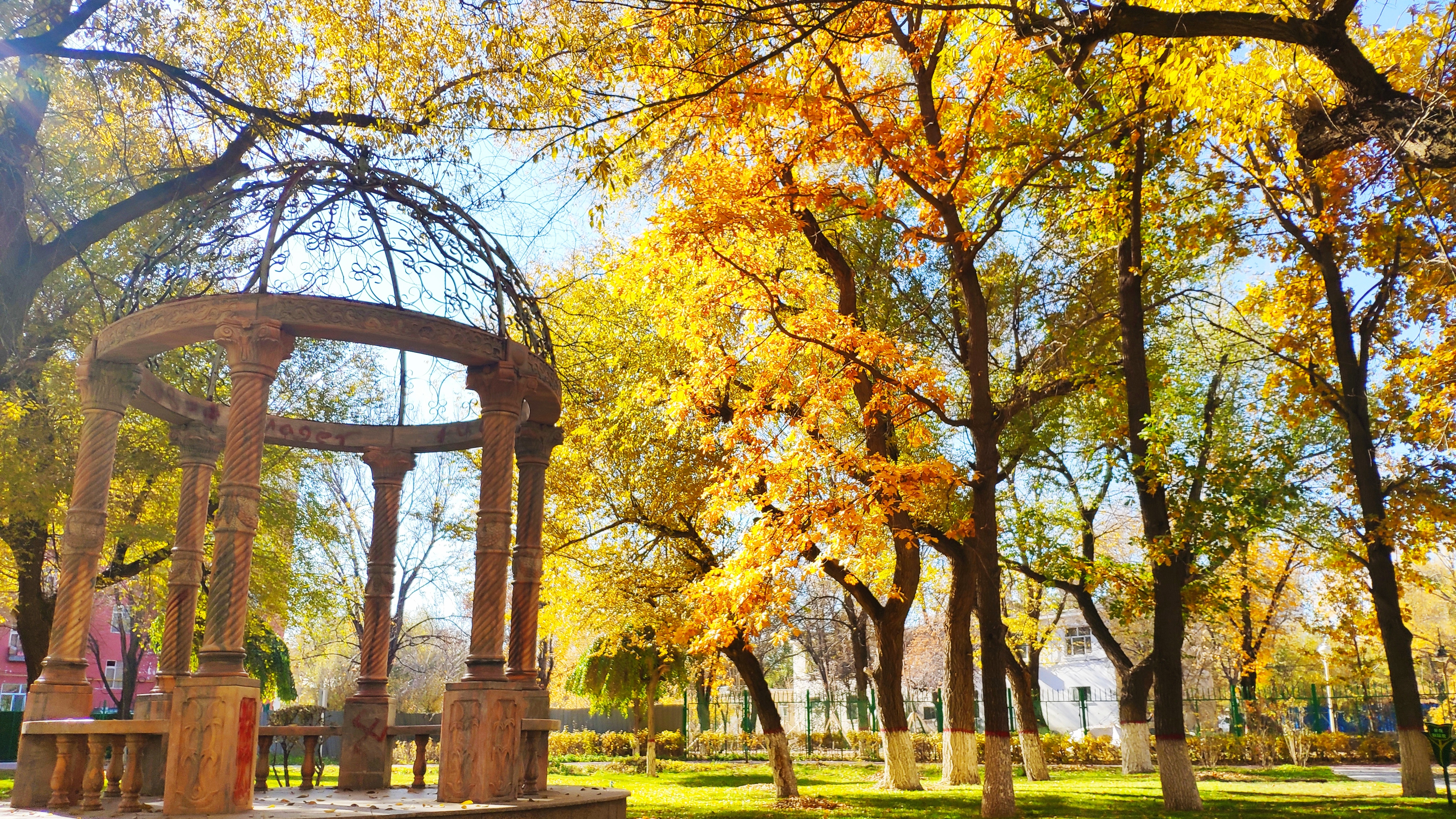 这哪还需要外出采风塔尔巴哈台人民公园