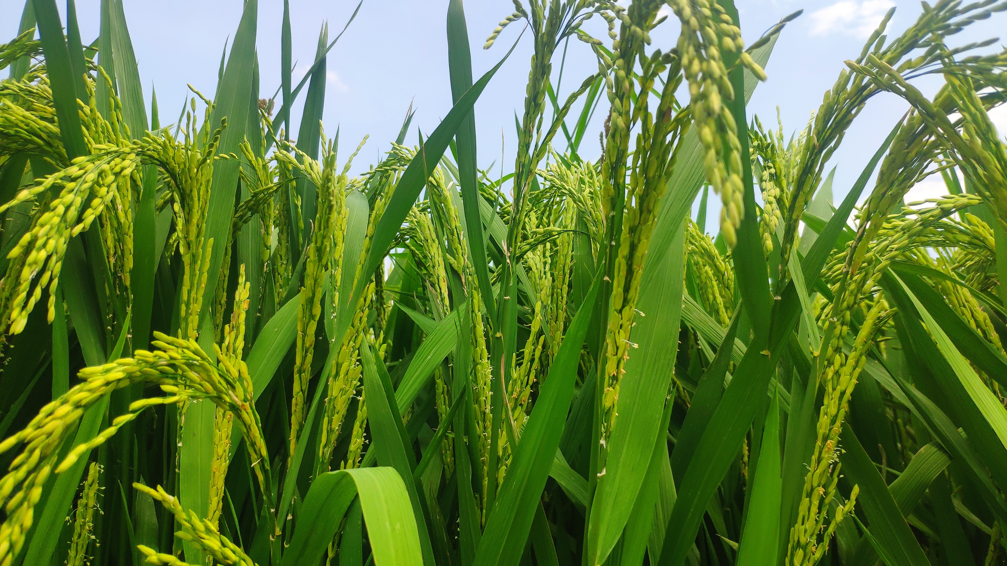 生生不息摄影馆2浏览0还没有评论呢,说说你的想法