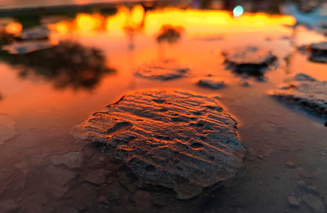 雨后的傍晚 - 小米社区
