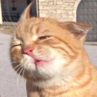 关了抬腕亮屏后按按钮好不方便希望以后能弄一个点屏幕两下亮屏