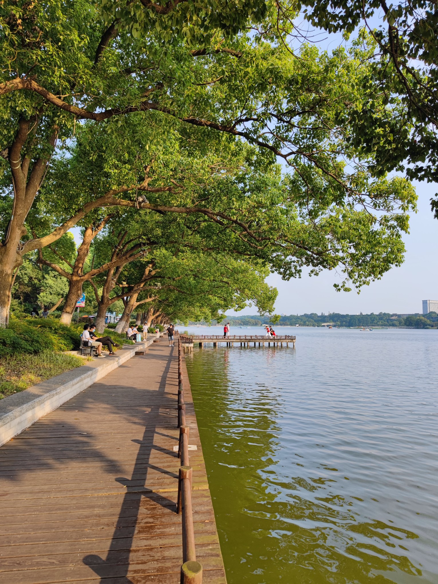 玄武湖漫步. - 小米社区