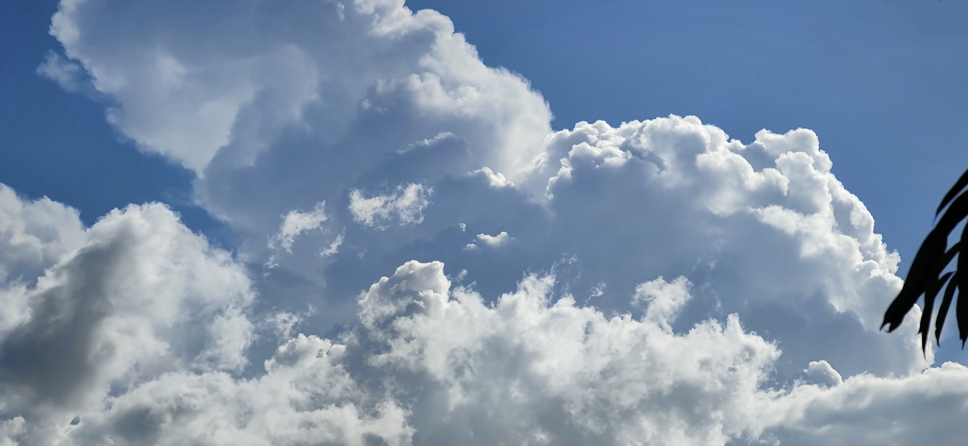 7月的午后天朗气清