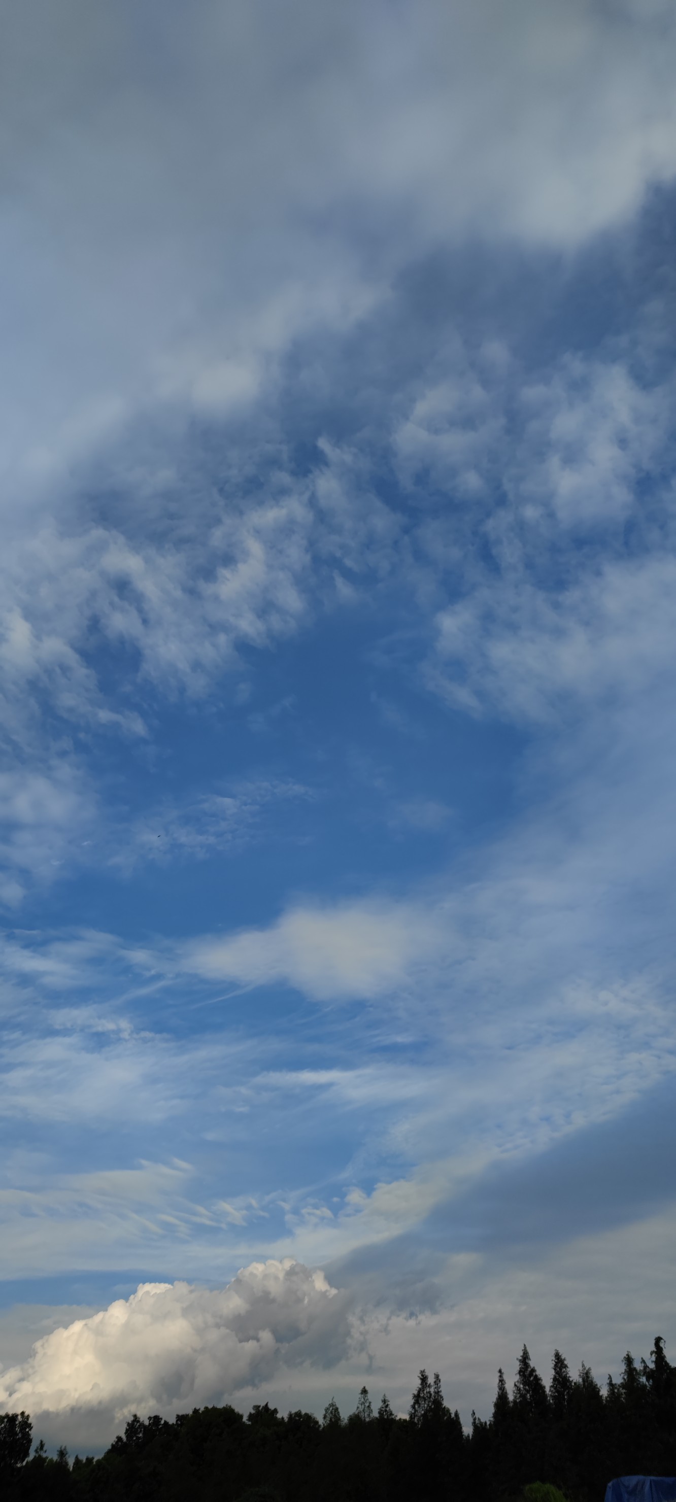 蓝蓝的天空