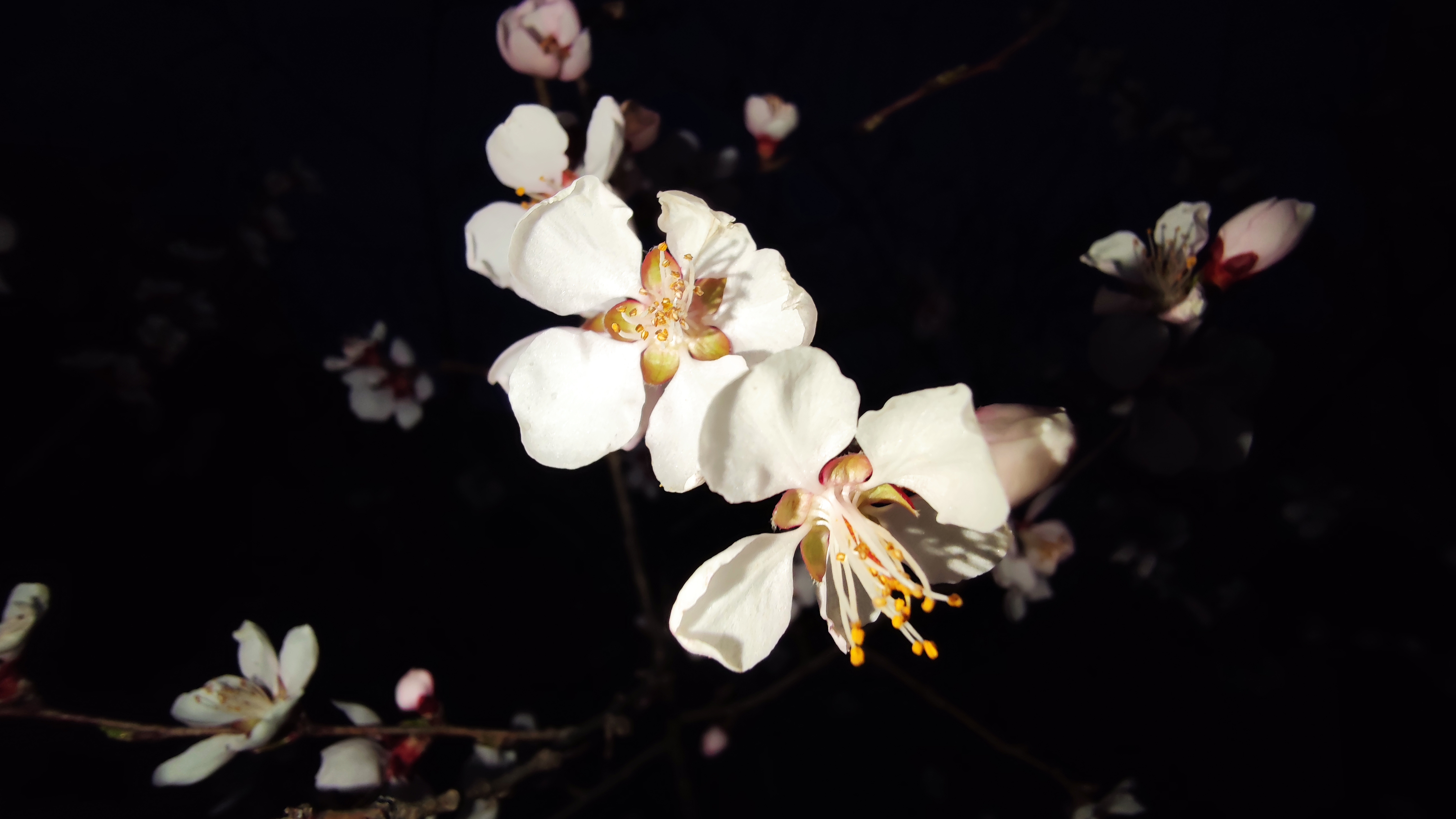 小米cc9pro拍照到底有多猛这些实拍图片告诉你