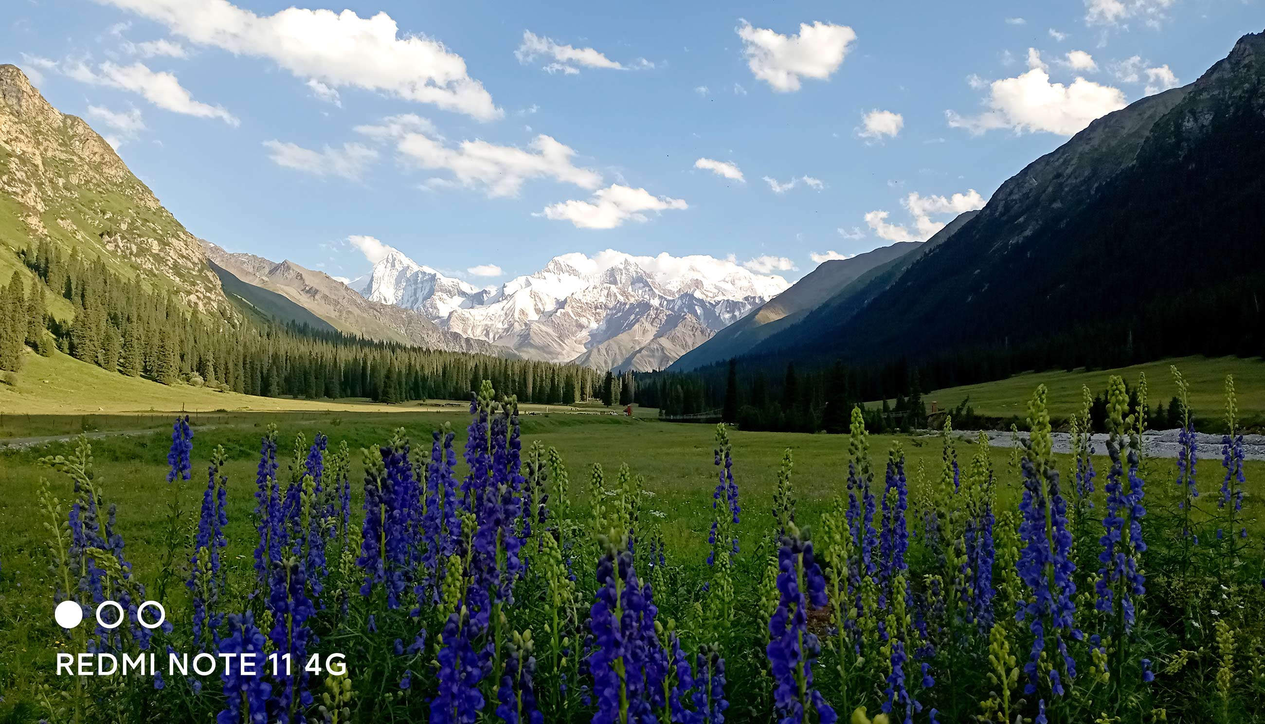 27种 ai 场景识别风景,人像,轻松拍出来ai 5.