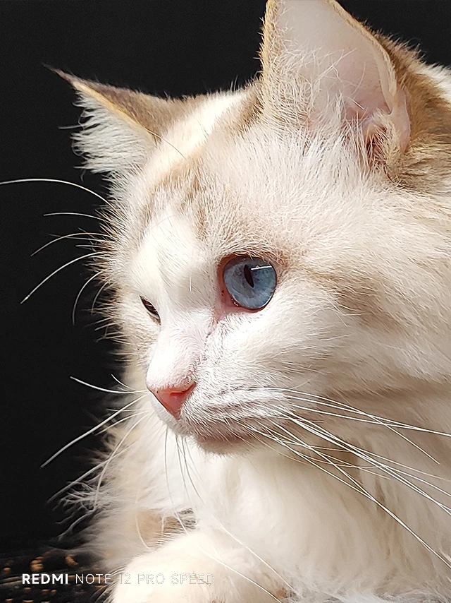 resize,q_90,f_webp
