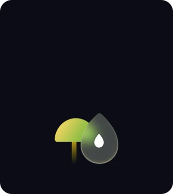 resize,q_90,f_webp
